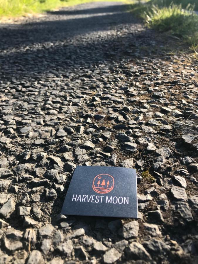 Bed and Breakfast Harvest Moon Doolin Exterior foto